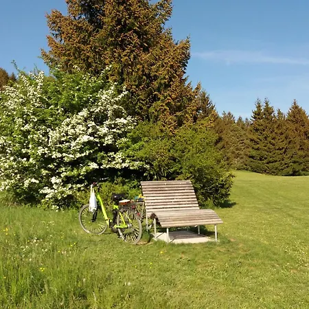 Leni Im Schwarzwald Tatil Evi *